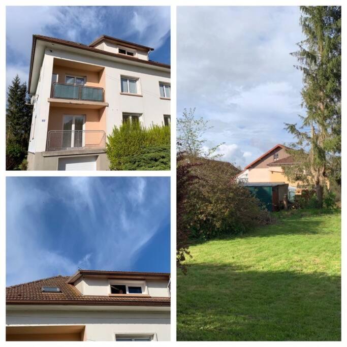 Loft Avec Jardin Corcieux Exterior foto